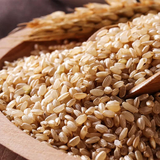 燕之坊鸿运正当头礼盒1.22kg 商品图2