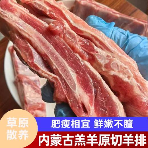 疯抢中！！顺丰直发【内蒙古·羔羊羊排】正宗6-8个月散养羔羊 肉质鲜嫩多汁 肥瘦相宜 无膻味更营养 1.7斤±/袋 商品图0