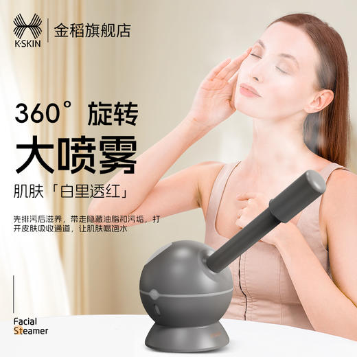 金稻KD23312中草药长短管蒸脸器纳米蒸汽喷雾补水家用冷热温三喷加湿 商品图1