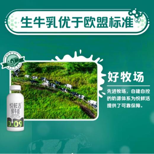悦鲜活 鲜牛奶 250ml/瓶 商品图2