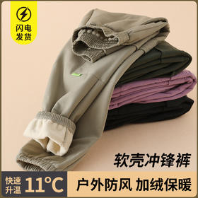R25803加厚工装裤