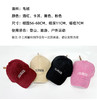 壁虎瑜伽【2512PJ481】 秋冬复古刺绣保暖鸭舌帽（5天发货） 商品缩略图1
