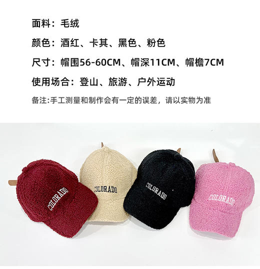 壁虎瑜伽【2512PJ481】 秋冬复古刺绣保暖鸭舌帽（5天发货） 商品图1