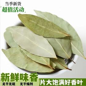 【SF】新货卤料炖肉广西香叶天然月叶香料卤料调料商用调味 【无硫新货】