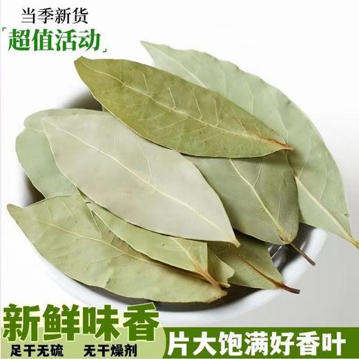 【SF】新货卤料炖肉广西香叶天然月叶香料卤料调料商用调味 【无硫新货】 商品图0