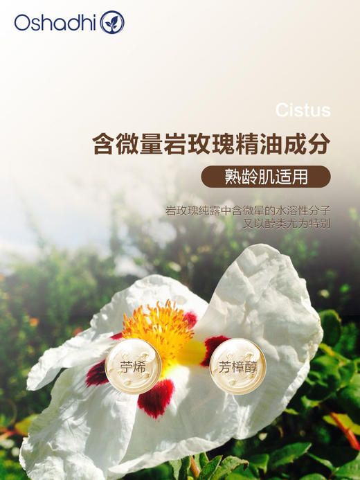 Oshadhi德国O家 岩玫瑰纯露 熟龄肌 紧致肌肤 花水爽肤水化妆品护肤品 商品图1