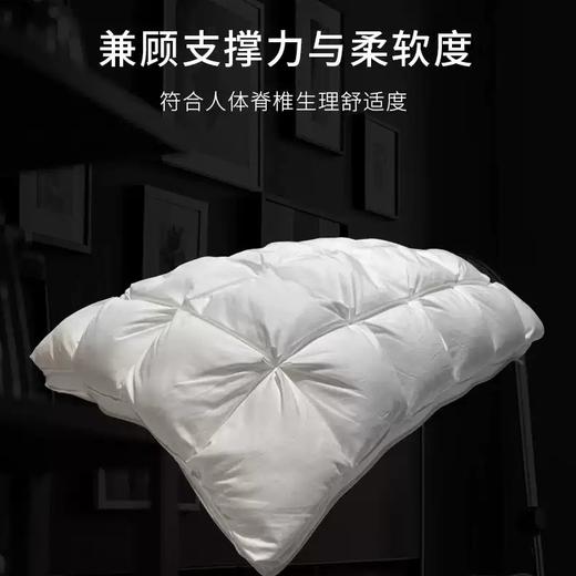 LOSIS法国露茜【菠萝枕】莱赛尔菠萝枕抗菌防螨单人护颈椎软枕枕头芯低枕可水洗 商品图2