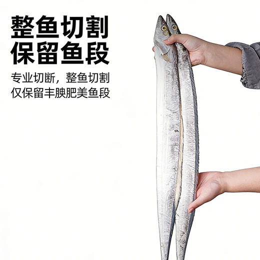 国产大段(二去整条带鱼)650g/袋【去头去尾整条中段】 商品图1
