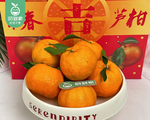 老林家高山树熟永春芦柑礼盒（大果）/1箱（16个，共3.25-3.5kg） 商品图2
