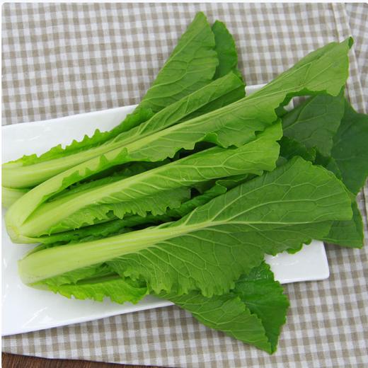 【QT】新鲜蔬菜小白菜 商品图2
