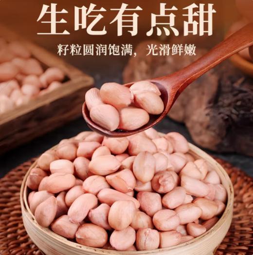 【QT】新鲜大粒花生米 精选饱满 商品图1