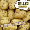 【QT】新鲜土豆 表面略微带土擦皮 商品缩略图0