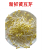【QT】新鲜清水泡发黄豆芽 商品缩略图2