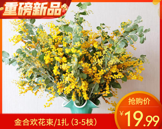 【预售-12月29日配送】金合欢花束/1扎（3-5枝） 商品图0