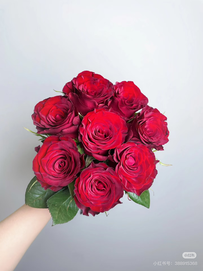 花木里高原红