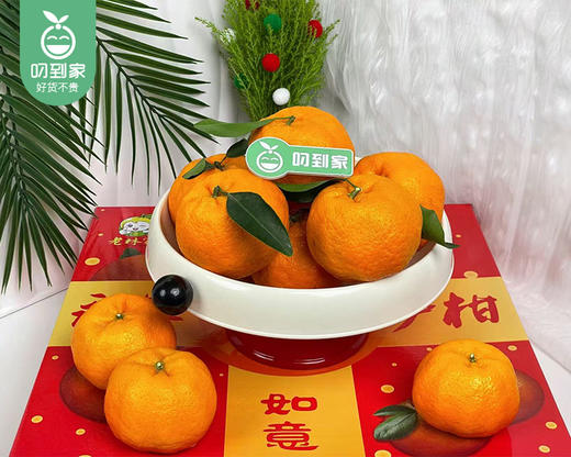 老林家高山树熟永春芦柑礼盒（大果）/1箱（16个，共3.25-3.5kg） 商品图3