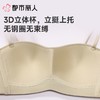 都市丽人内衣无罩杯薄文胸泳布内衣3/4杯内衣软尺码内衣三排四扣无钢圈LBC5B5 商品缩略图5
