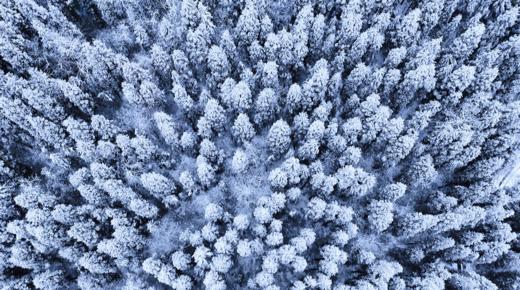 寒假2.22❗️【大王叫我来巡山】雅安大熊猫国家公园3天2夜独立营：权威基地背书；大熊猫栖息地小小巡护员；一线巡护员+自然导师；生物地理环保跨学科知识；冬季限定玩雪；解锁多项专业技能 商品图8