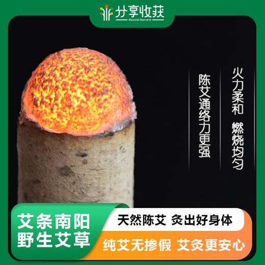 艾条 | 南阳野生艾草 | 公平贸易 | 基地直发包邮  * Moxa Sticks · Nanyang Wild Mugwort 商品图0