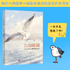 万羽倾城：中国昆明红嘴鸥观察纪实 商品缩略图0