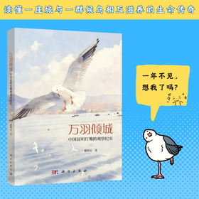 万羽倾城：中国昆明红嘴鸥观察纪实