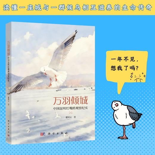 万羽倾城：中国昆明红嘴鸥观察纪实 商品图0