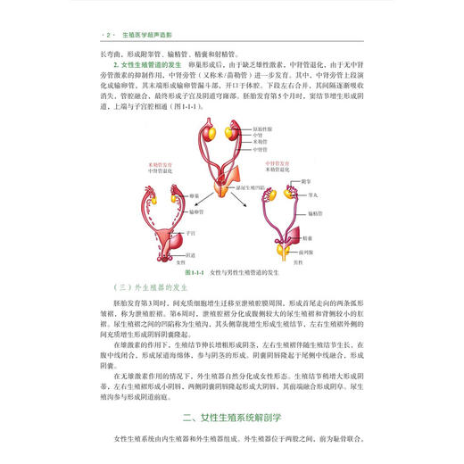 生殖医学超声造影 王莎莎 主编 涵盖非血管途径的子宫输卵管超声造影及经血管途径妇产疾病的超声造影 9787030840431科学出版社 商品图4