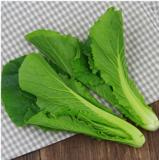 【QT】新鲜蔬菜小白菜 商品图1