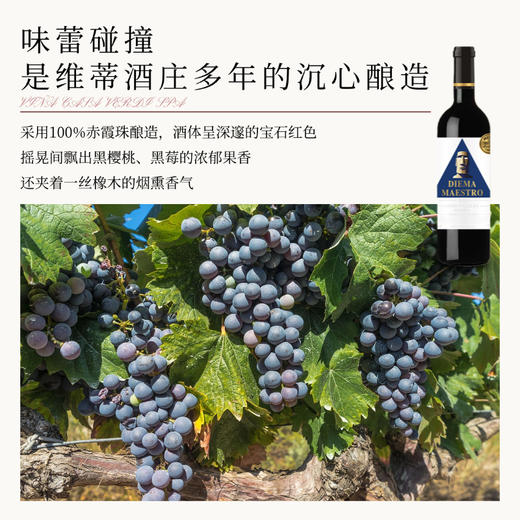 蒂尔马 大师干红葡萄酒 智利原瓶进口 商品图2
