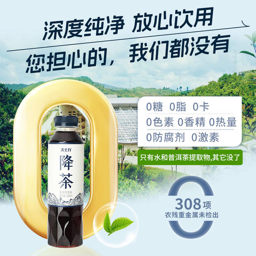 天士力降茶 普洱茶饮料500ml/瓶*15瓶/箱 0糖0脂0卡 商品图6
