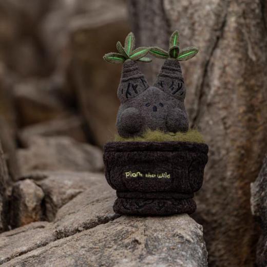 logaloga/盆栽摆件 商品图0