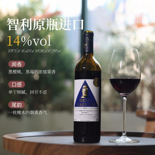 蒂尔马 大师干红葡萄酒 智利原瓶进口 商品图1
