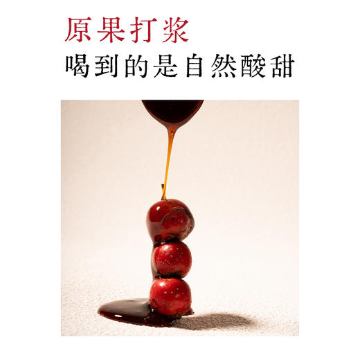 【杏林方记】山楂六物膏 商品图4