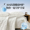 【品牌直发】加倍生活 A类抗菌里外全棉床护垫 0.9-2.0m纯棉新疆棉花填充床褥子 单人双人学生垫 商品缩略图3