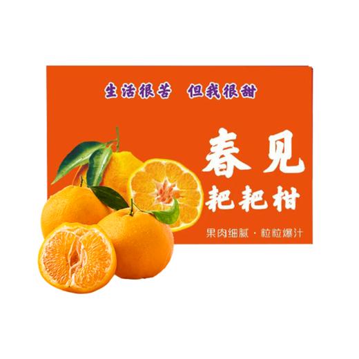 春见耙耙柑8斤大果彩箱装【分仓直发，72小时发货，周末节假日不发货】 商品图8