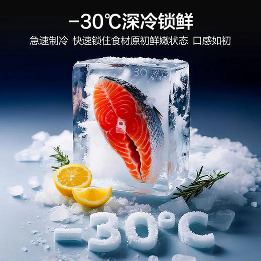 海尔（Haier）冰箱 BCD-502WGHTD1CYXU1 商品图11