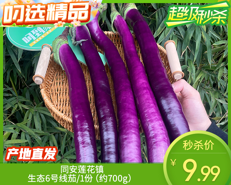 【叼鲜蔬】同安莲花镇生态6号线茄/1份（约700g）