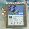 平衡小柅 手作精油【冷制皂】  薰衣草中药紫草精油皂/玫瑰精油牛奶皂/喜马拉雅粉盐柠檬精油皂 无添加无色素  植物油冷制  晾晒皂 商品缩略图2