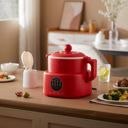 Apixintl安本素电饭煲家用3L2025新款1-3人多功能电饭锅APIX-RC08 商品图2