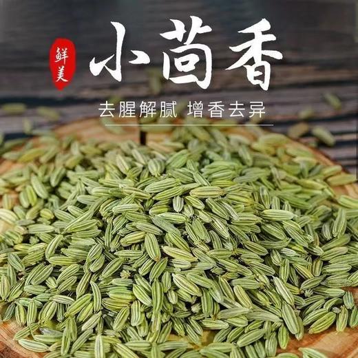 【SF】小茴香  热炒 卤炖 / 腌制 / 烧烤均易入味 商品图1