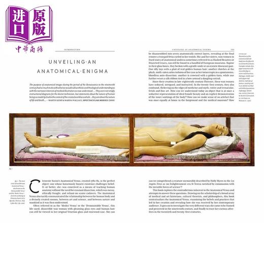 预售 【中商原版】解剖学维纳斯 英文原版 The Anatomical Venus 商品图4