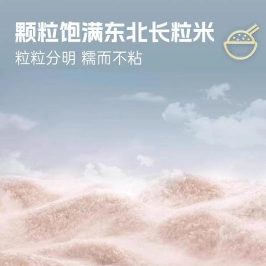 无名小厨 皮蛋瘦肉粥 冻干冲泡即食粥46g 商品图4