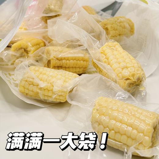 【鲜食玉米 开袋即食 真空独立包装】川间拾味 牛奶水果玉米 商品图1