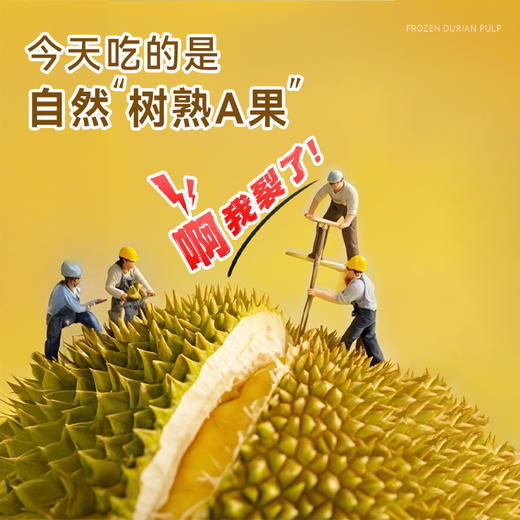 严选 | 泰国A级冷冻金枕榴莲肉900g/袋 顺丰发货 商品图3