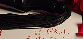 𝐑𝐨𝐨𝐦 𝐟𝐮𝐧电滋棒——以痛为名的印记🐾