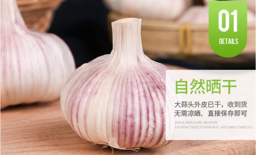 【QT】白皮干蒜头 商品图2