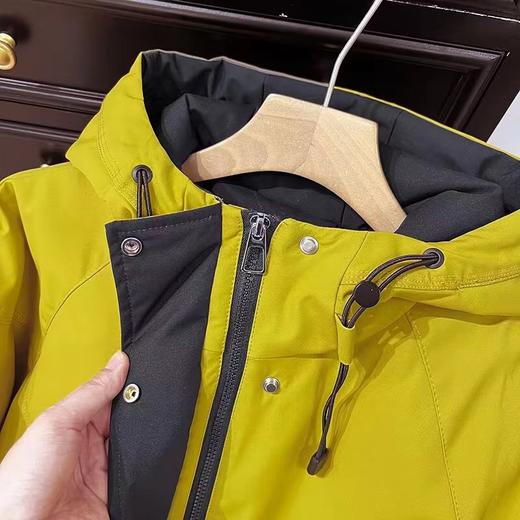 D122406连帽新款加绒保暖休闲羊羔毛派克服外套休闲服女 商品图8