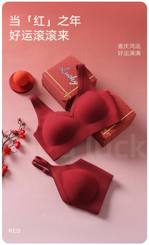 点此购买 爱慕女士新年红好运礼盒套装 艾 338383 商品图10