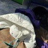 D122401冬季25FW皮革拼接拉链羽绒面包服外套男女同款 商品缩略图7