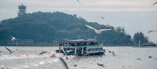 无锡鼋头渚1日亲子游，邂逅冬日精灵红嘴鸥，惠山古镇寻味江南 商品图0